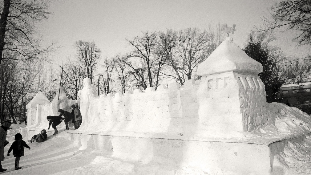 Брянцев восхитил снимок снежного замка в брянском парке Толстого