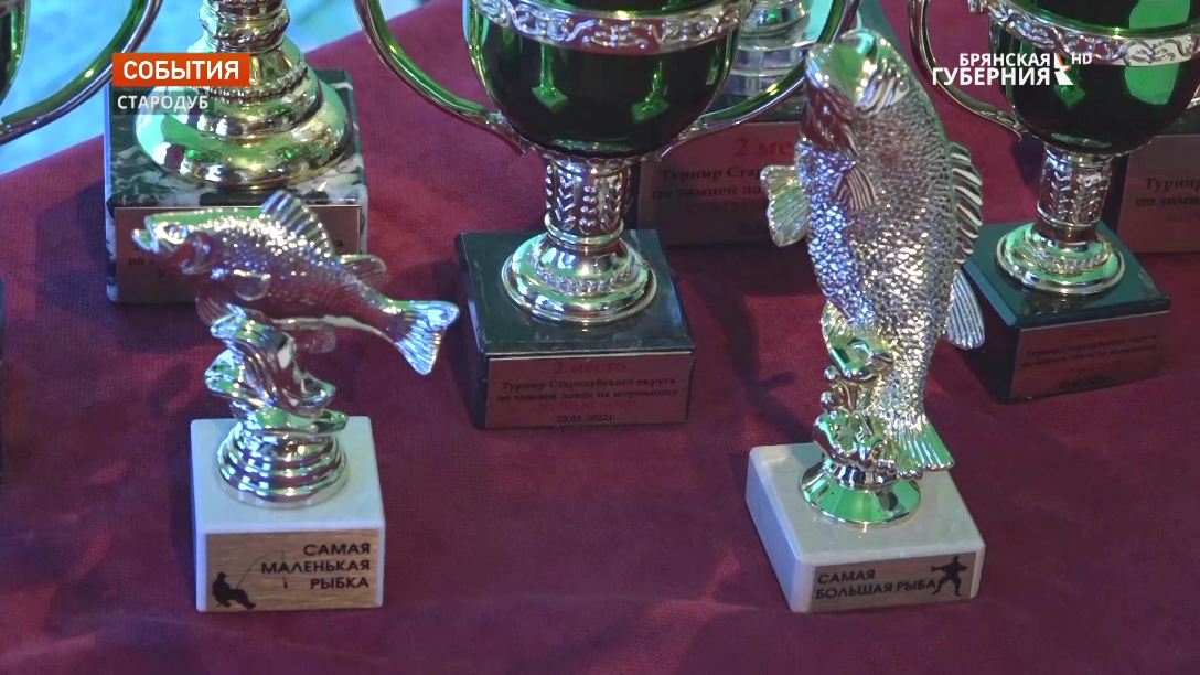 В Стародубе прошёл открытый чемпионат муниципального округа по рыбной ловле на мормышку