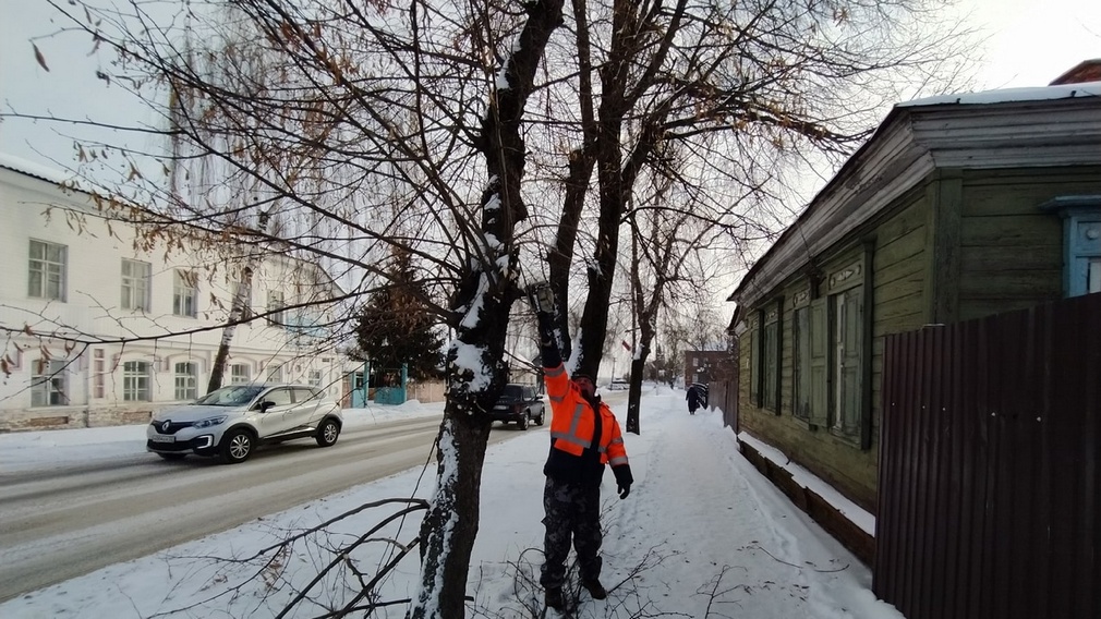 Коммунальные службы Стародубского округа проводят обрезку деревьев