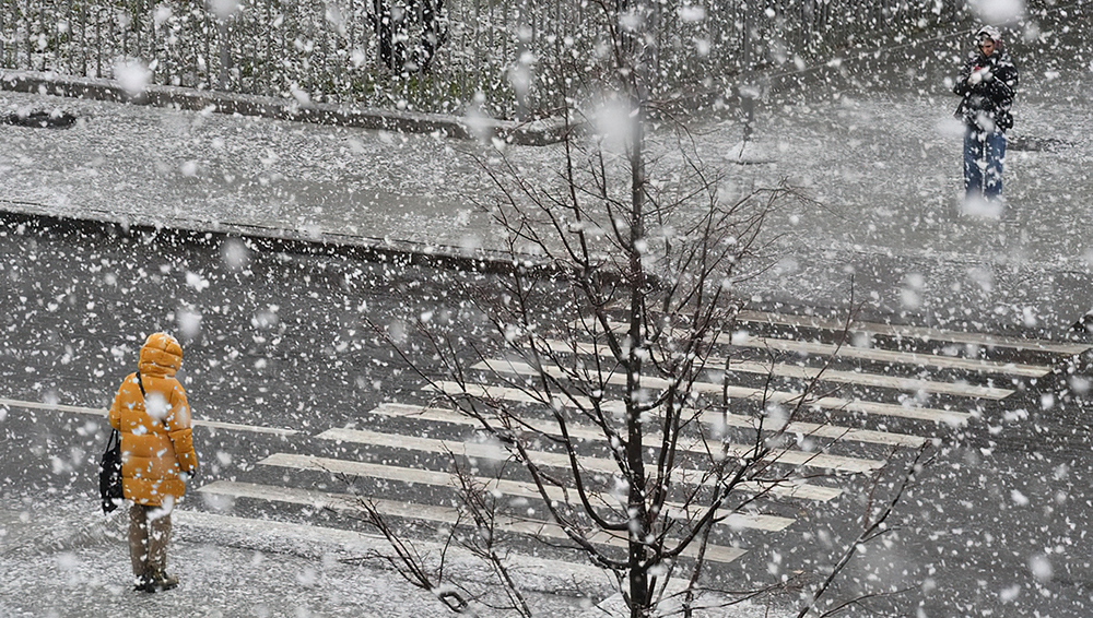 Сегодня в Брянской области прогнозируют сильный снегопад