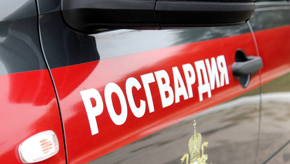 В новогодние каникулы по сигналу тревоги брянские росгвардейцы выезжали более 450 раз