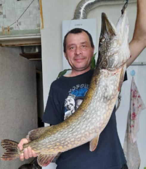 Рыбак Анатолий Савоничев похвалился гигантской щукой, выловленной под Брянском