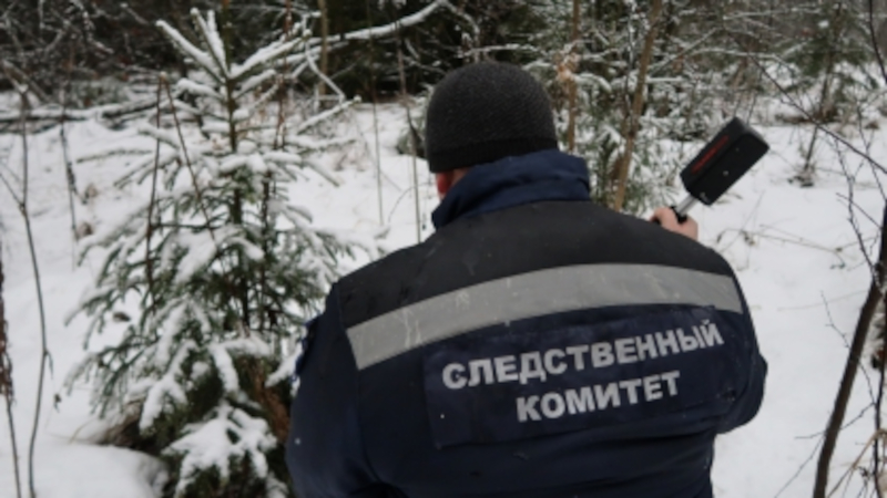 В Суражском районе Брянской области погибла 59-летняя женщина