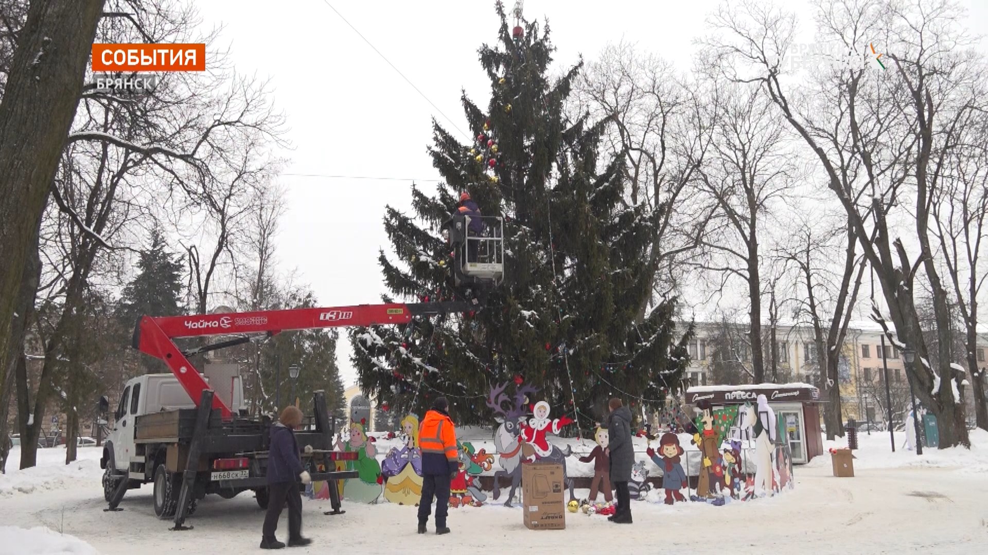 Брянск попрощался с главным городским новогодним деревом