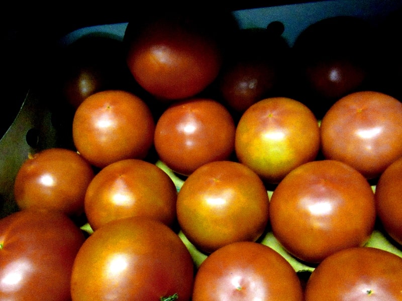 На Брянщине забраковали зараженных вирусом морщинистости 39 тонн турецких томатов