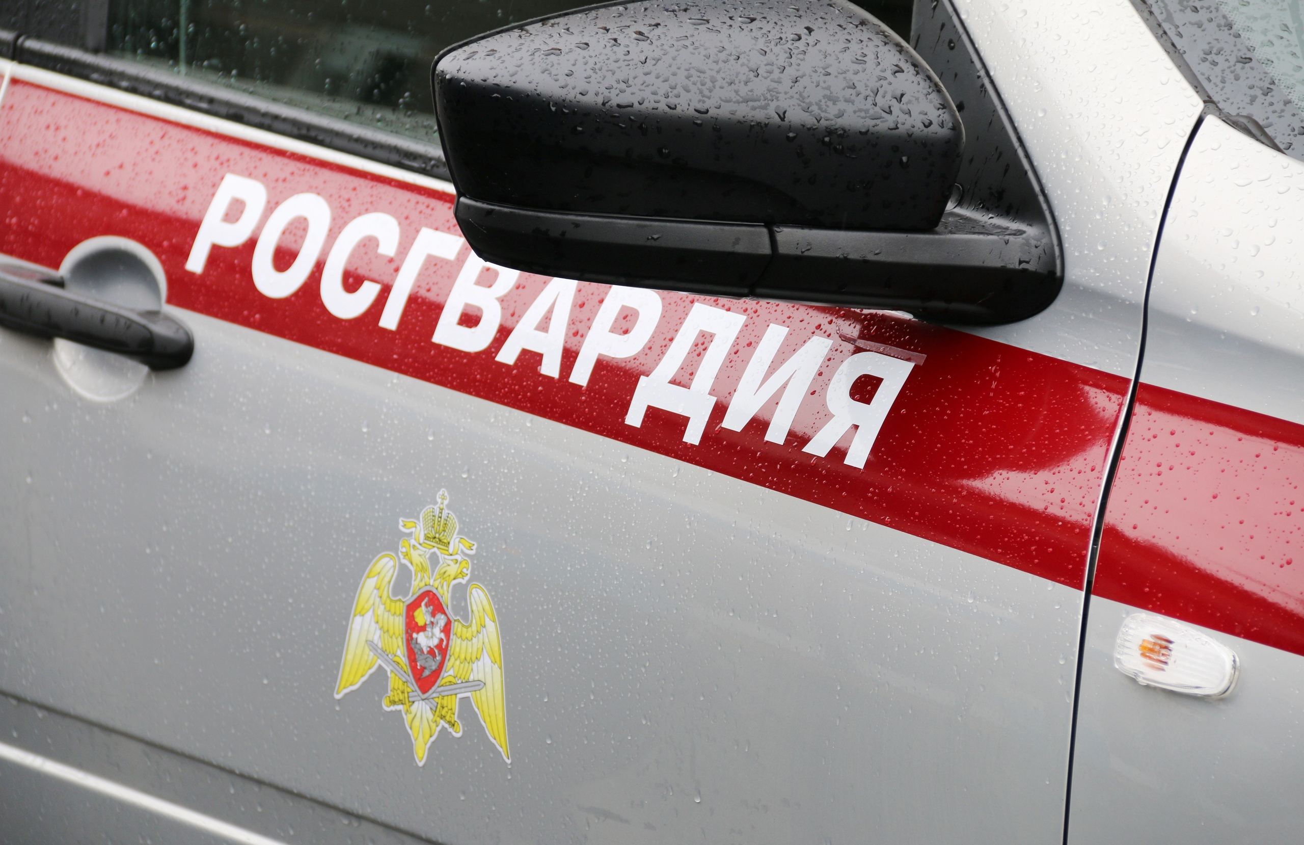 В Брянске росгвардейцы задержали 42-летнего магазинного вора