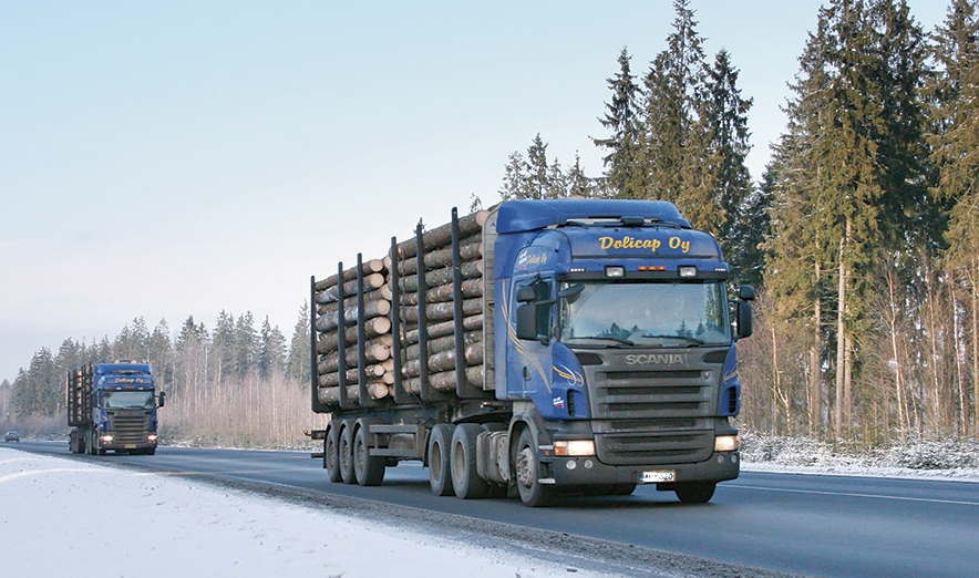 В Брянской области продолжается работа по пресечению нелегальных перевозок лесопродукции