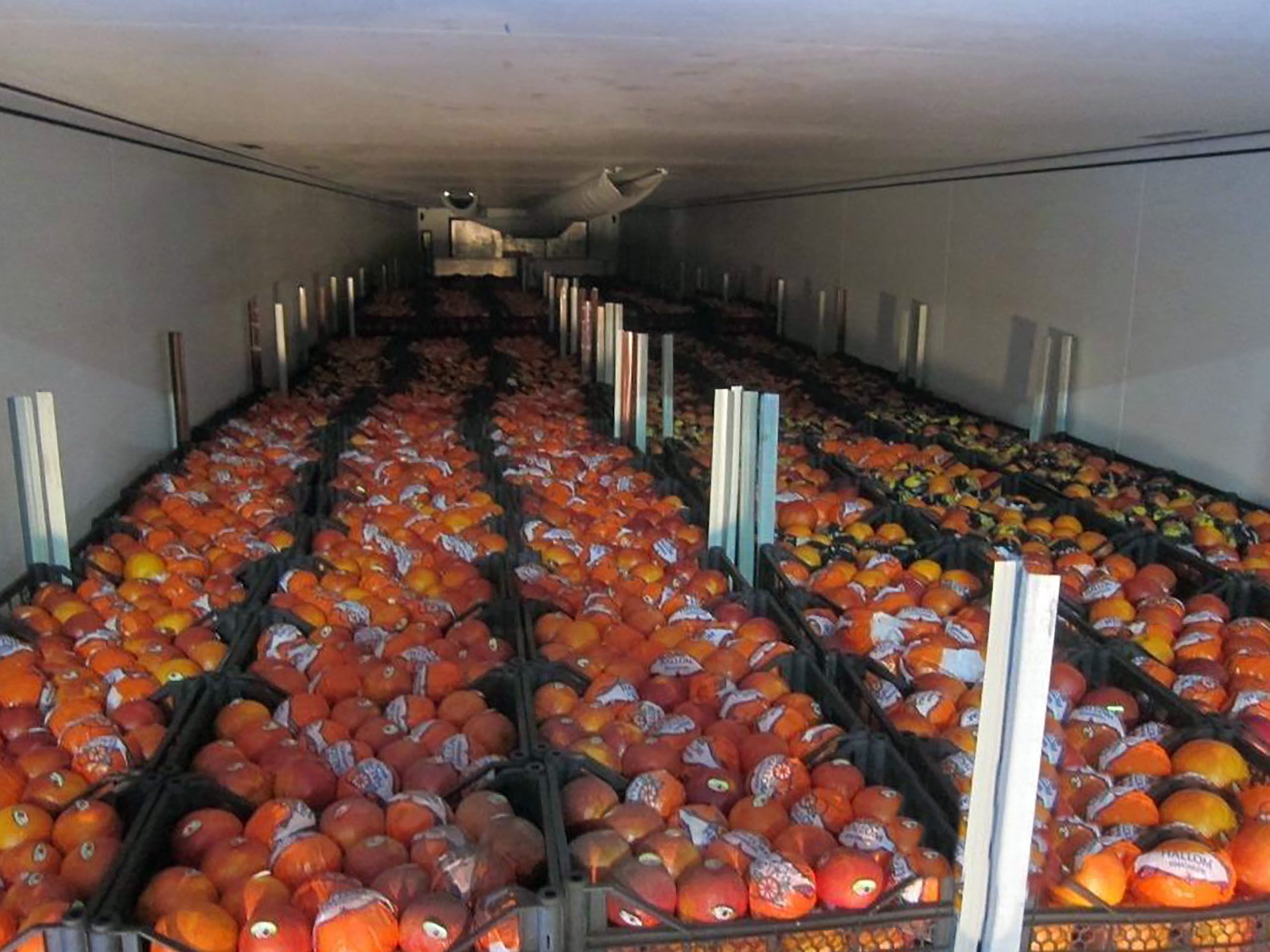 Более 200 тонн фруктов и овощей оформила Брянская таможня после начала военной спецоперации