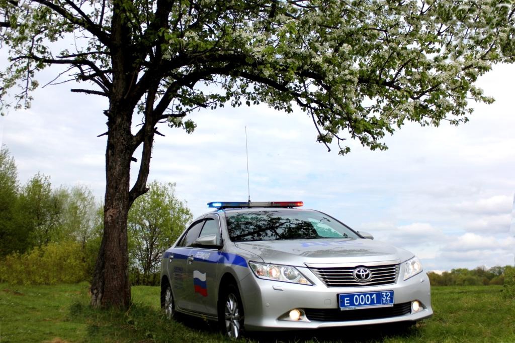 В Брянске сотрудники ДПС остановили водителя  за нарушение ПДД возле гимназии №7
