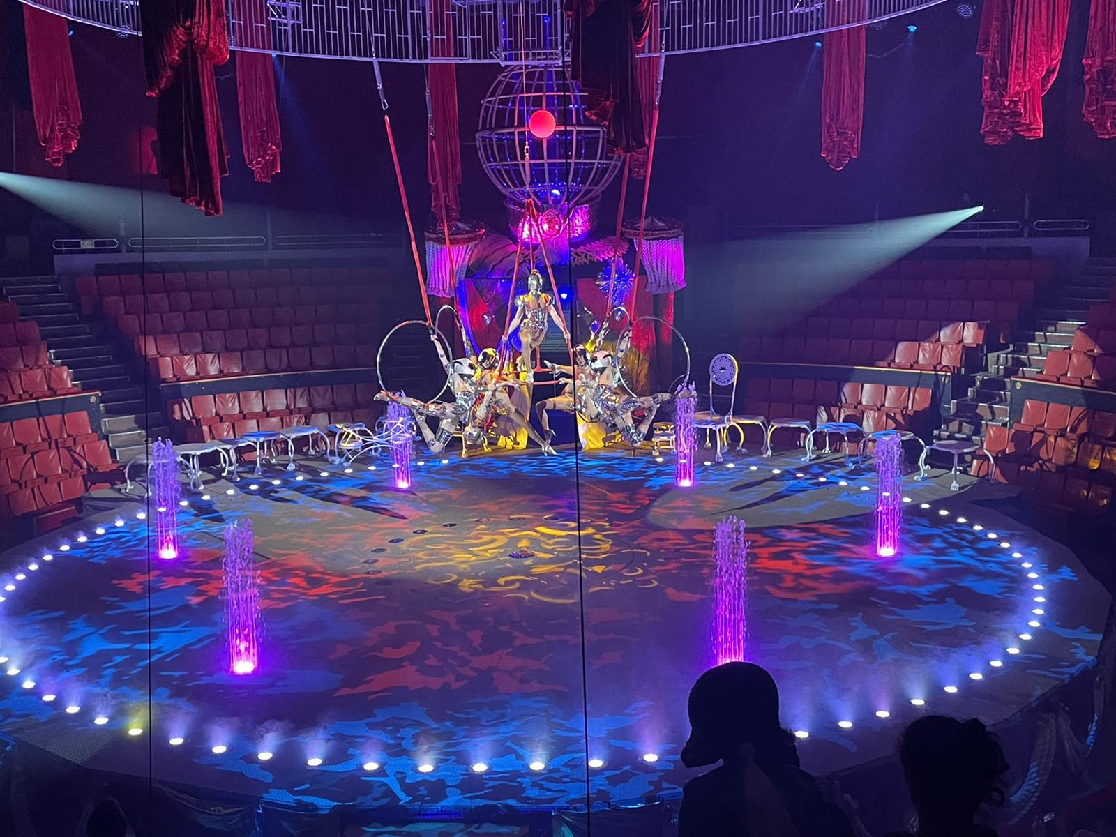 Брянский цирк поздравил работников культуры ярким шоу