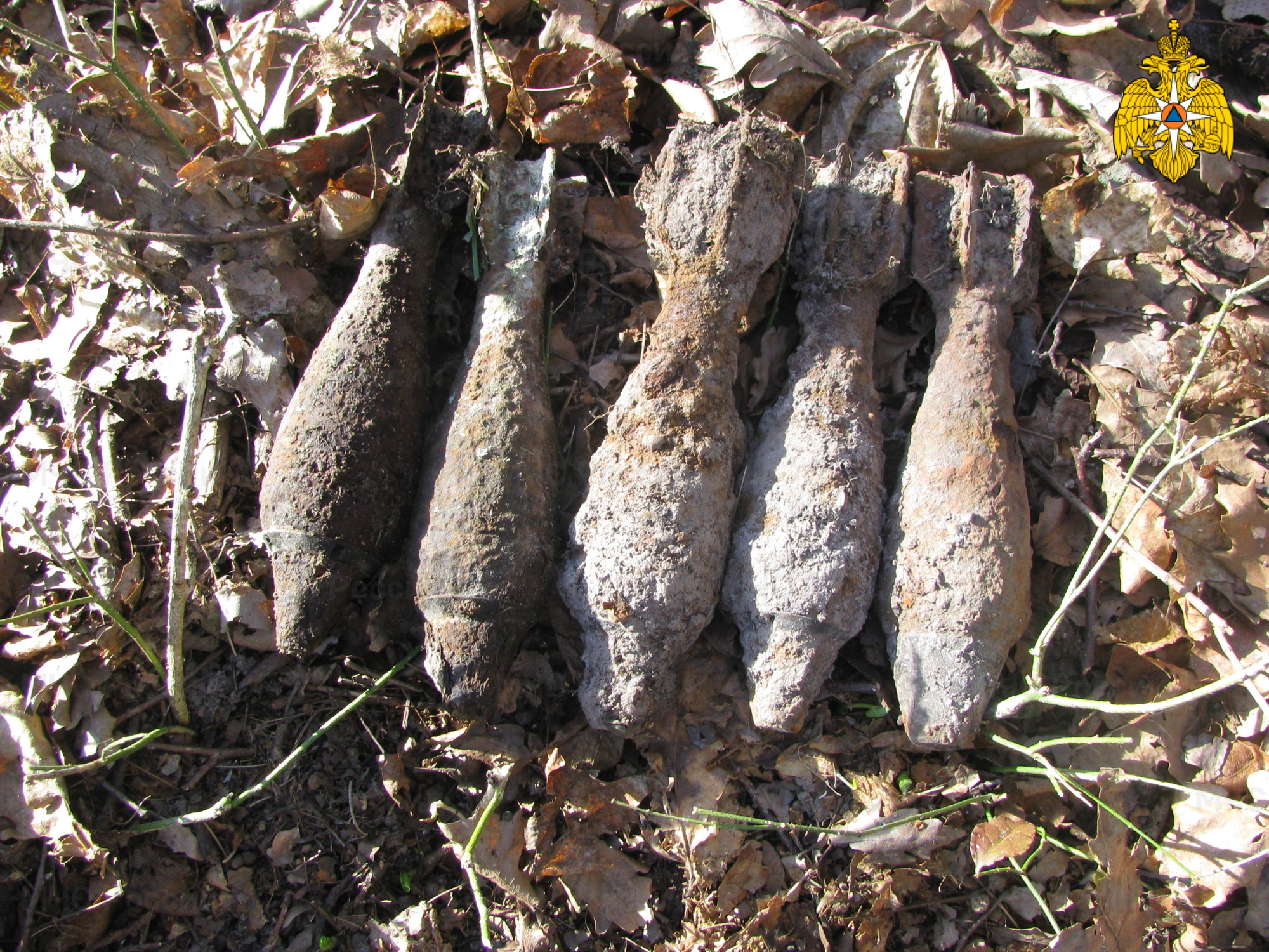 В поле под Погаром нашли пять минометных мин