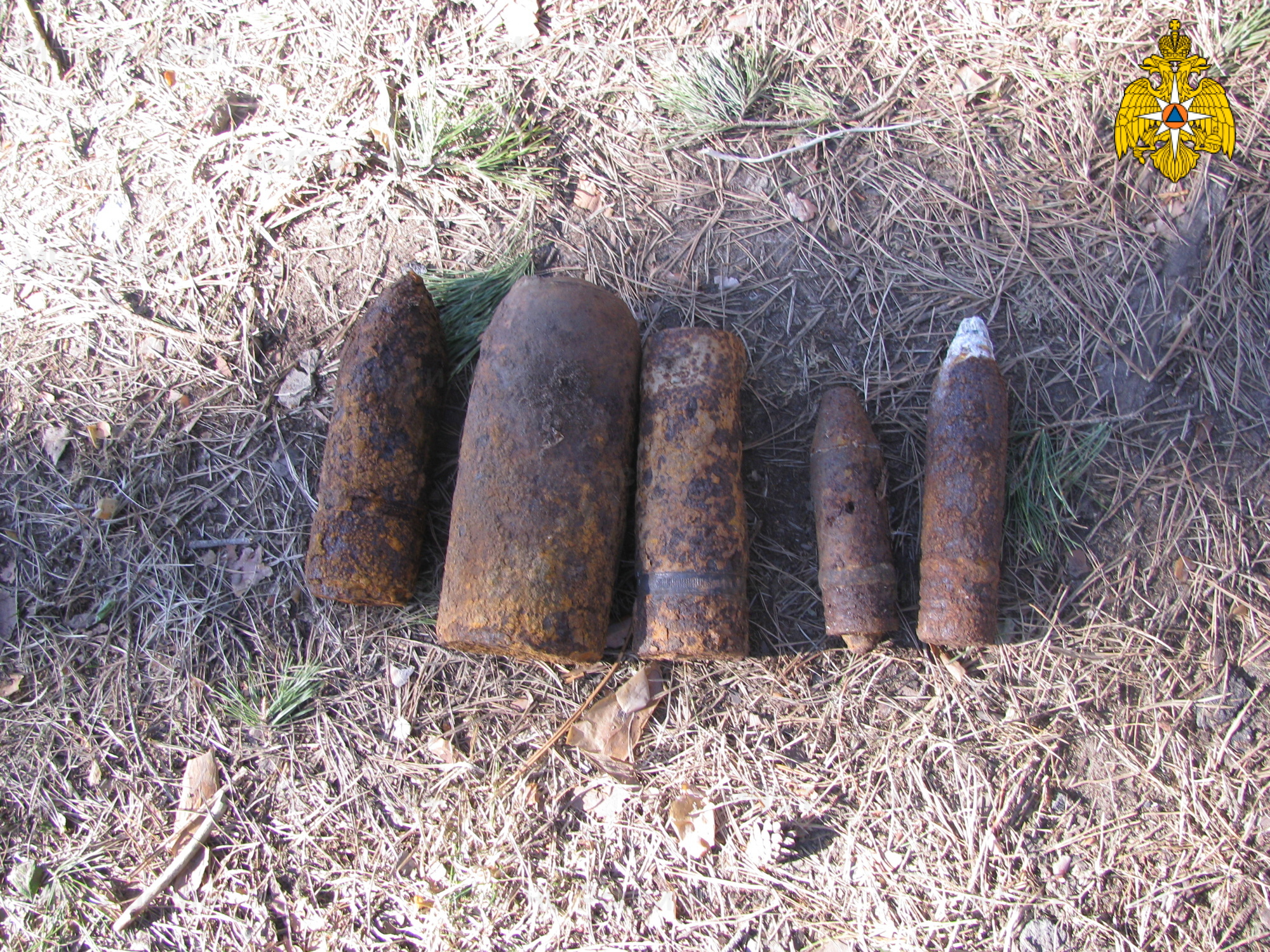 В лесу под Брянском нашли авиабомбу и четыре снаряда