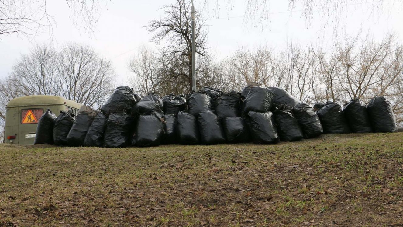 Брянские депутаты очистили от старой листвы овраг рядом с Дворцом имени Ю.А. Гагарина