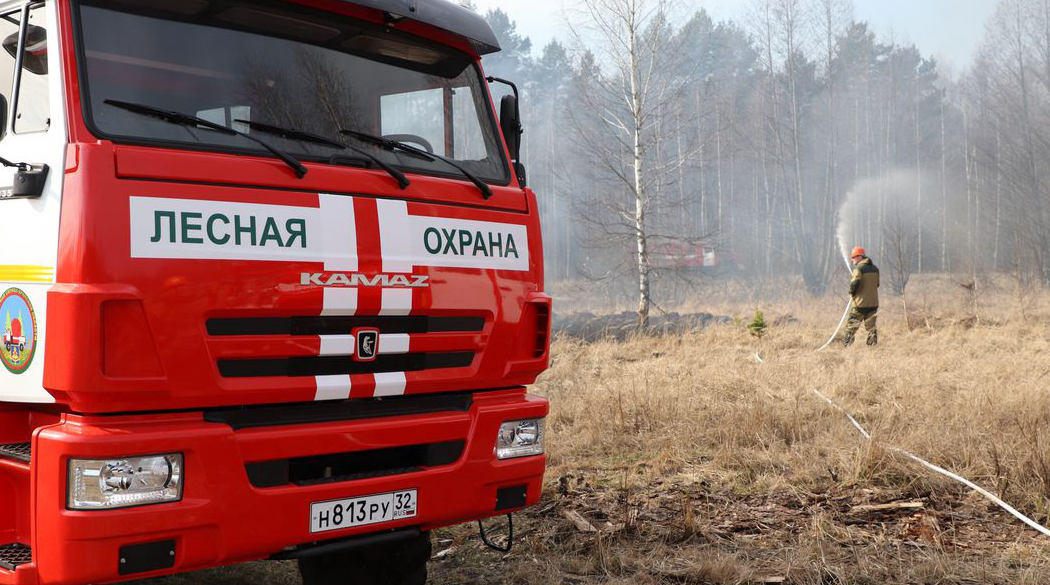 В Брянской области объявили о начале пожароопасного сезона с 18 апреля