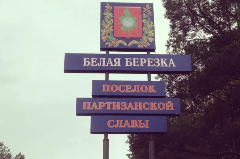 Брянский губернатор сообщил об обстреле возле посёлка Белая Берёзка