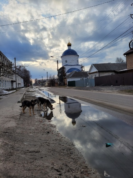 Жители Карачева поделились в соцсетях фотографиями весеннего города