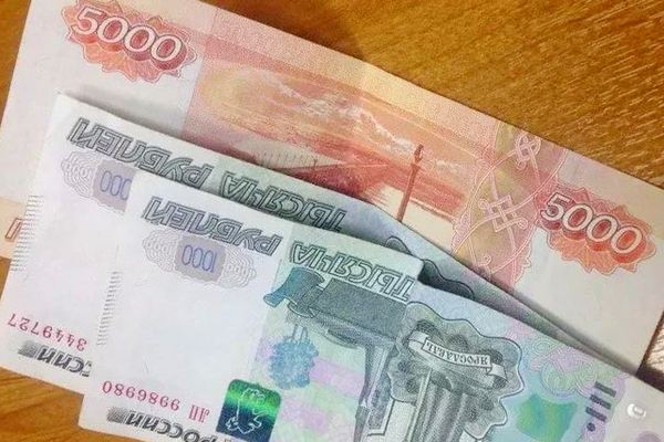 В брянском поселке Злынка подруга стащила у спящей пенсионерки 7000 рублей
