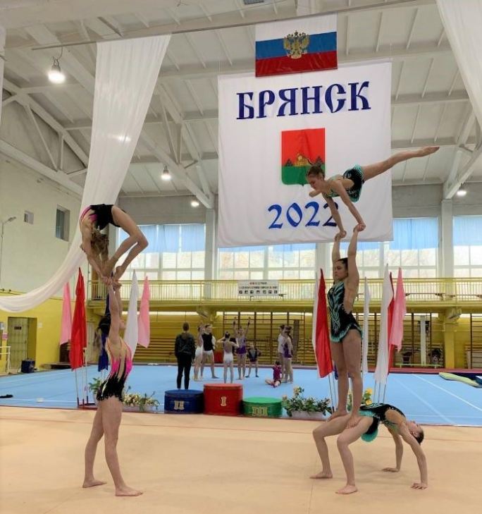 Определены чемпионы Брянской области по спортивной акробатике