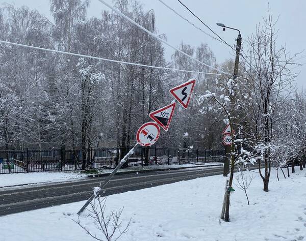 В Брянске из-за снегопада рухнули дерево и дорожный знак