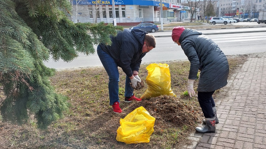 В Брянске очистили от мусора аллею у памятника Летчикам