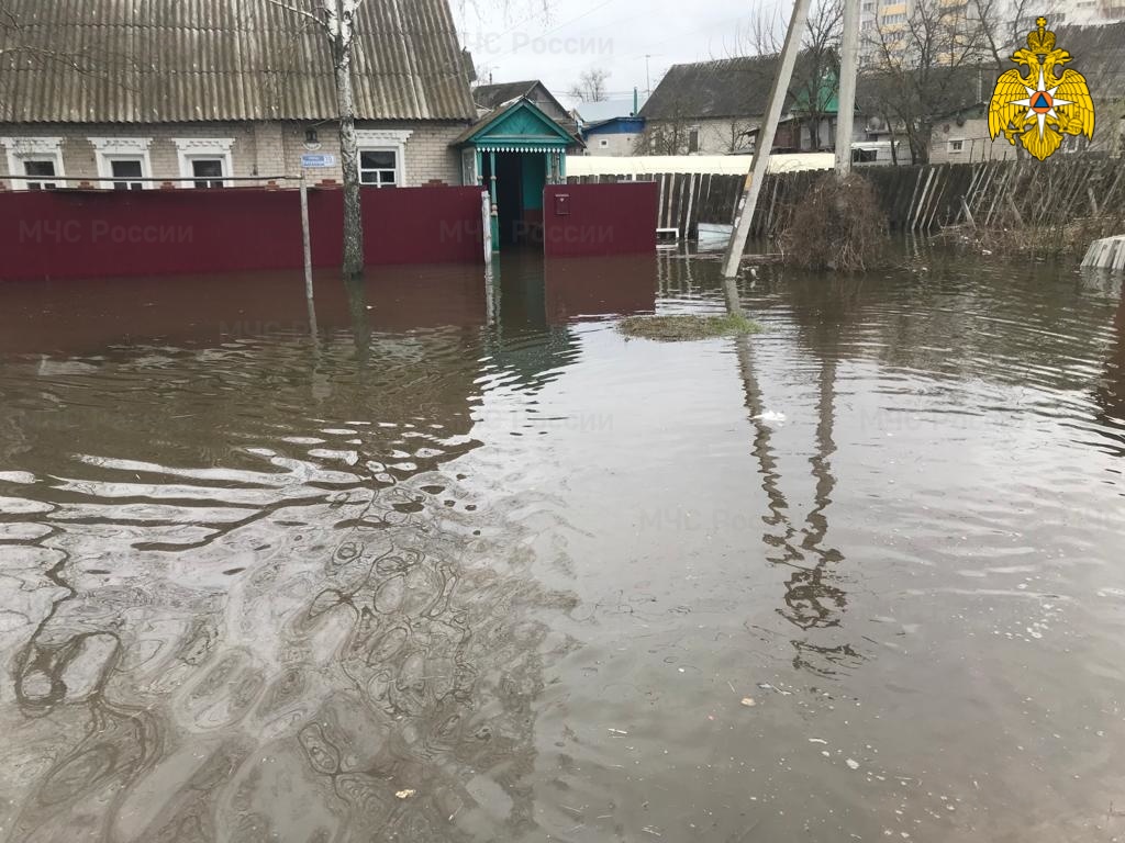 В Брянске из-за паводка затопило 39 жилых домов и 496 приусадебных участков