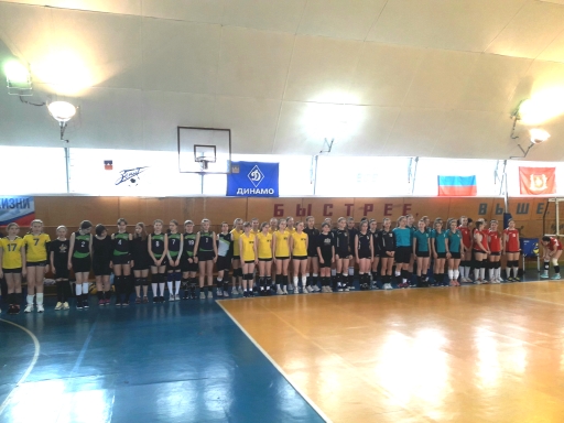 На Брянщине стартовал межрегиональный турнир по волейболу