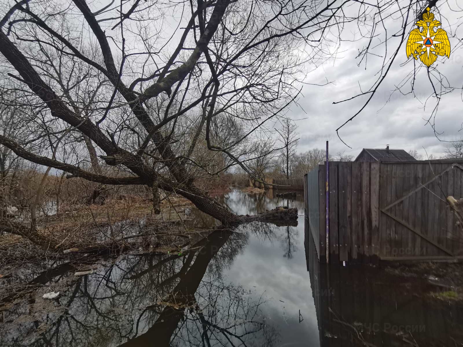 Разлившаяся Болва затопила приусадебный участок по улице Черниговской в Брянске