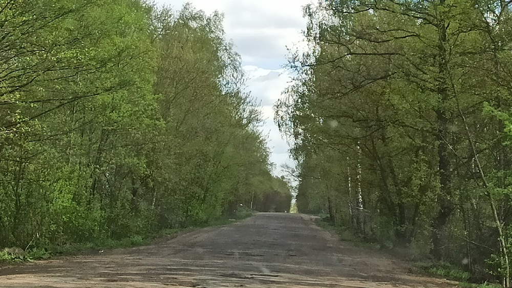 Разбитую дорогу к Коржовке-Голубовке просят отремонтировать