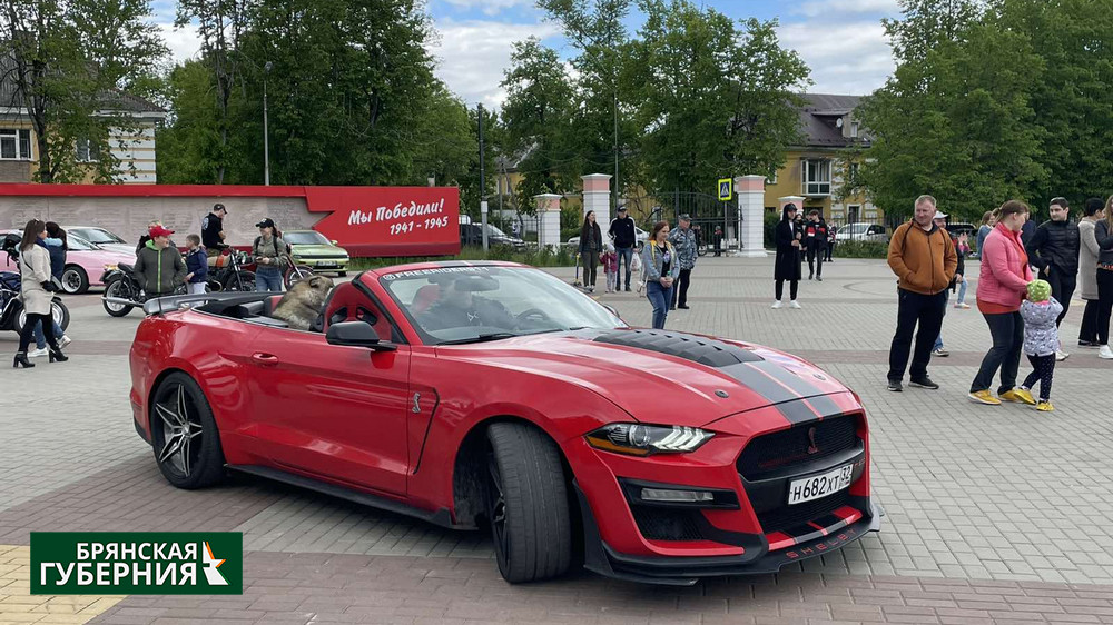 В Белых Берегах состоялся автофестиваль Amazing Car FEST