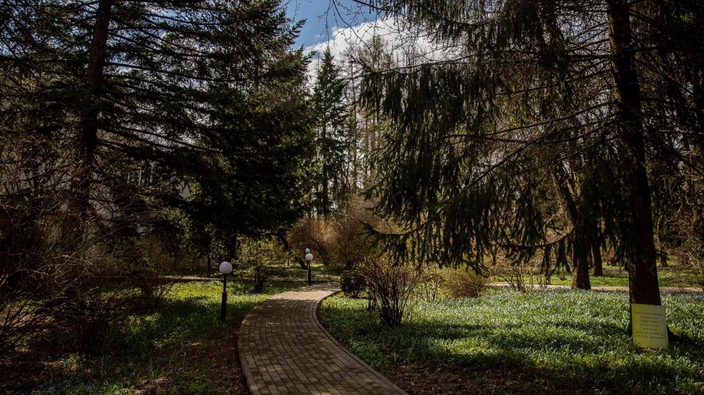 В брянском ботаническом саду имени Б.В. Гроздова 7 мая пройдет экскурсия
