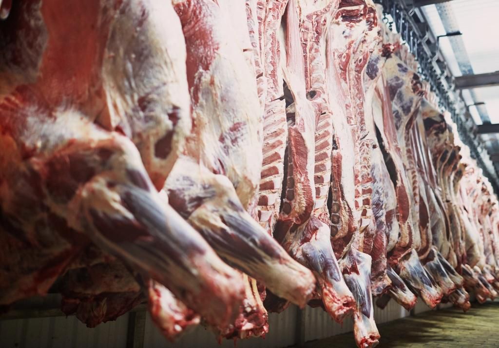 Брянщина экспортировала около 9 тысяч тонн мяса в 8 стран мира