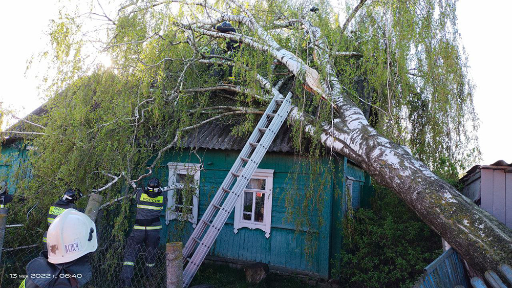 В Жуковском районе продолжается устранение последствий урагана