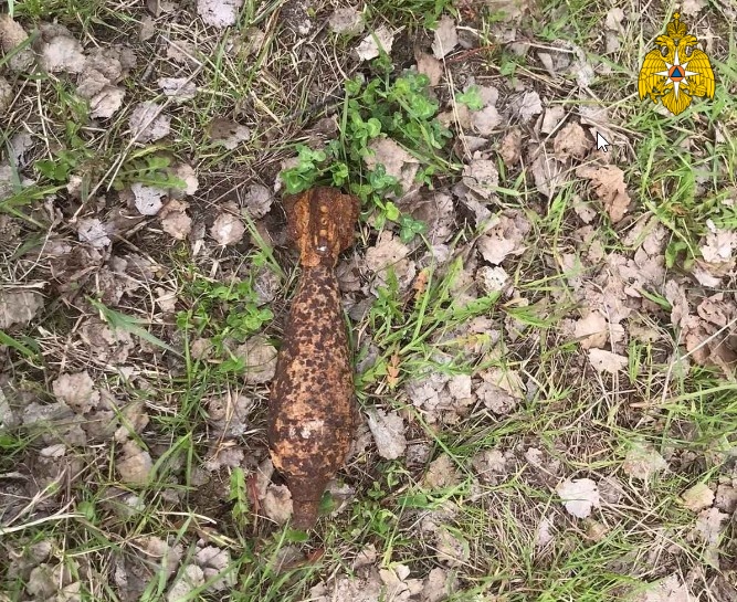 В лесу в Дятьковском районе нашли минометную мину
