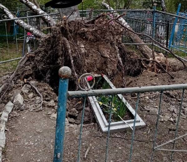 В Фокино на кладбище ураган вскрыл могилы
