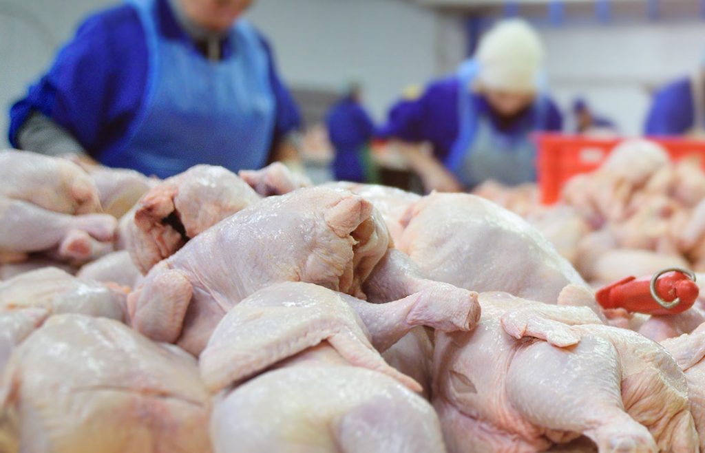 Брянщина поставила в мае более 800 тонн мяса птицы в Саудовскую Аравию и Узбекистан