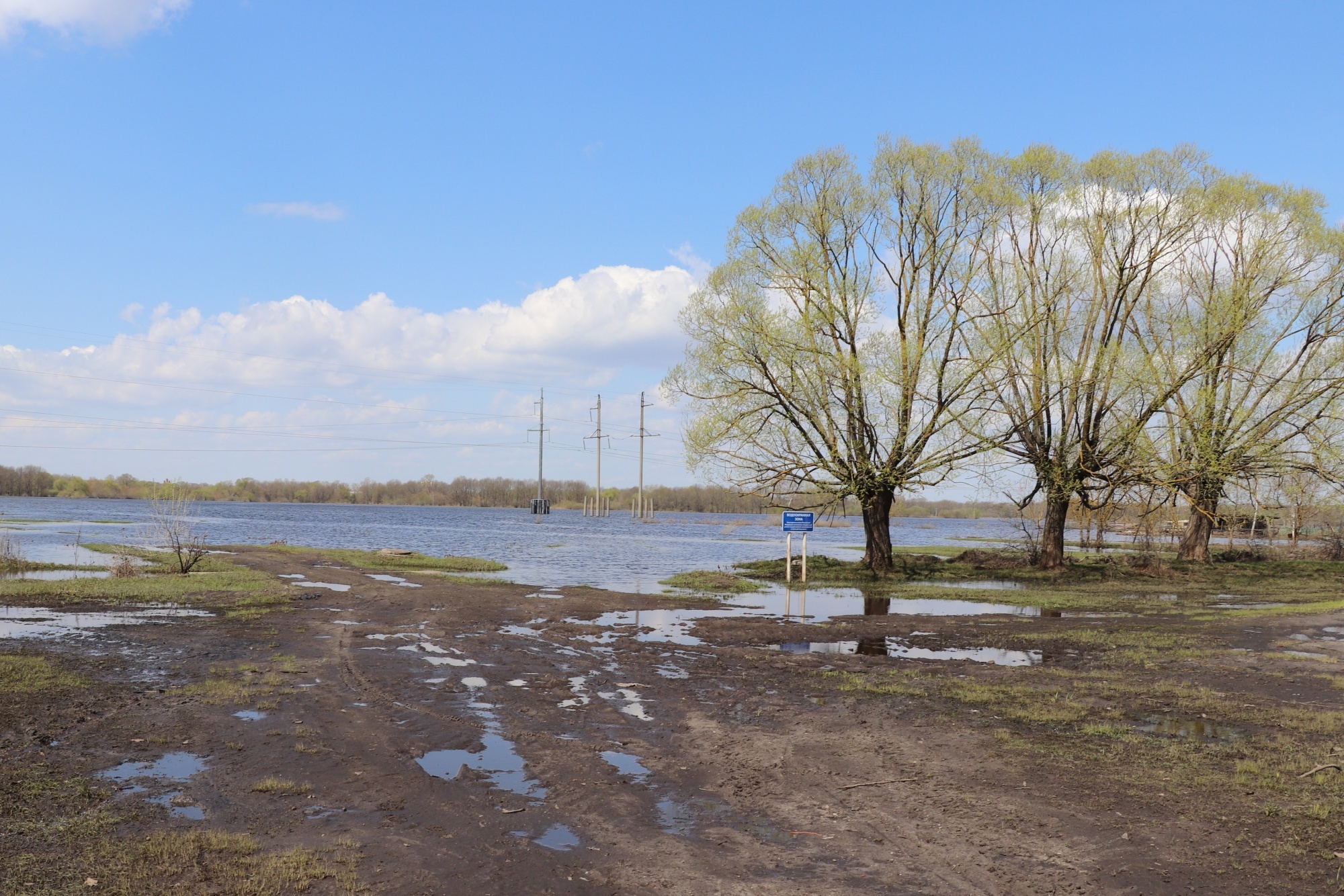 В Брянске из-за паводка остаются затоплены пять жилых домов и 182 приусадебных участка