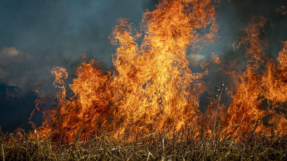 В Стародубе два предприятия нарушили требования пожарной безопасности в лесах