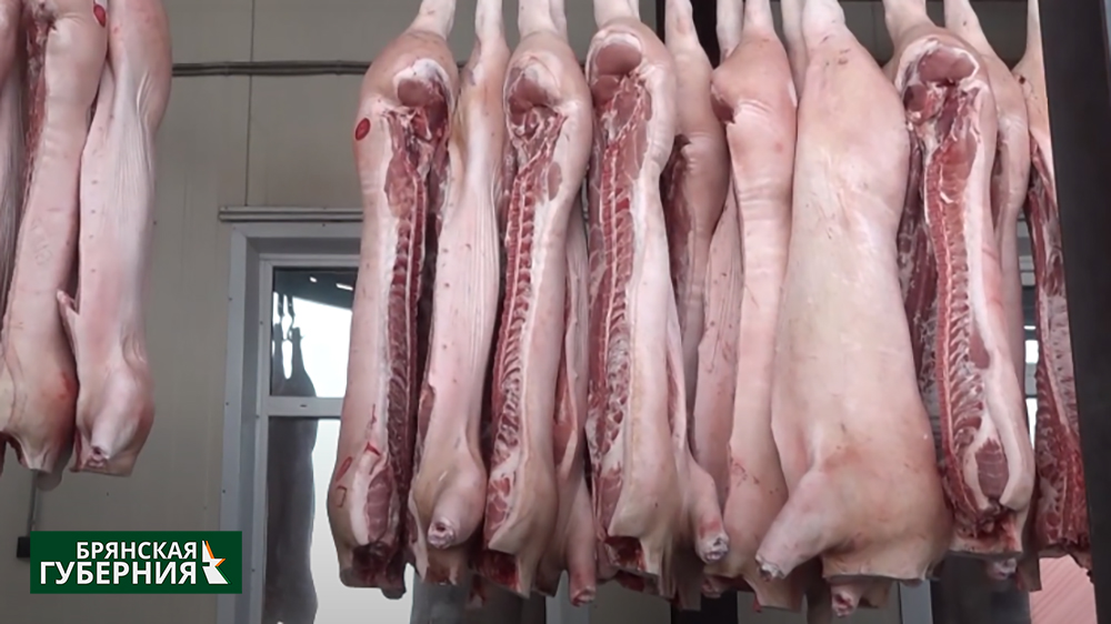 В Брянскую область не пустили почти 400 килограммов сомнительного мяса и молока