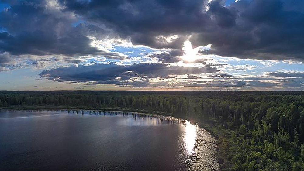 В Брянской области есть озеро Шумовец с лечебной грязью