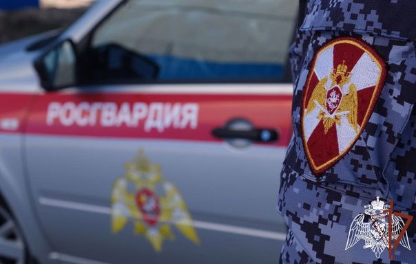 Безопасность «Славянского единства» в Брянске обеспечат 200 росгвардейцев