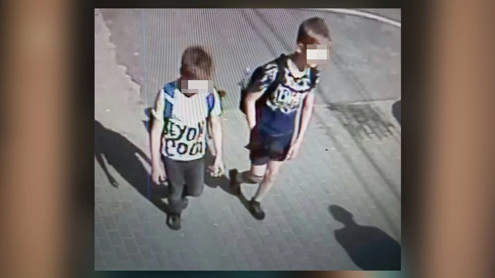 Брянские малолетние похитители автомобильных колпачков попали на видео