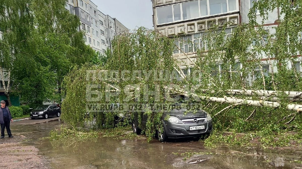 На улице Брянского Фронта из-за подмыва дерево упало на машину