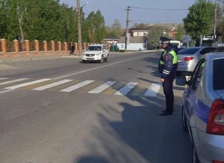 В Брянске наказали семь пешеходов-нарушителей