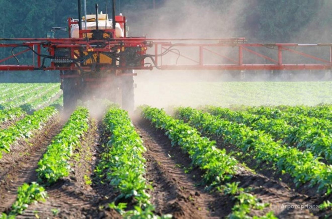 В Брянской области выявлены нарушения условий хранения пестицидов и агрохимикатов