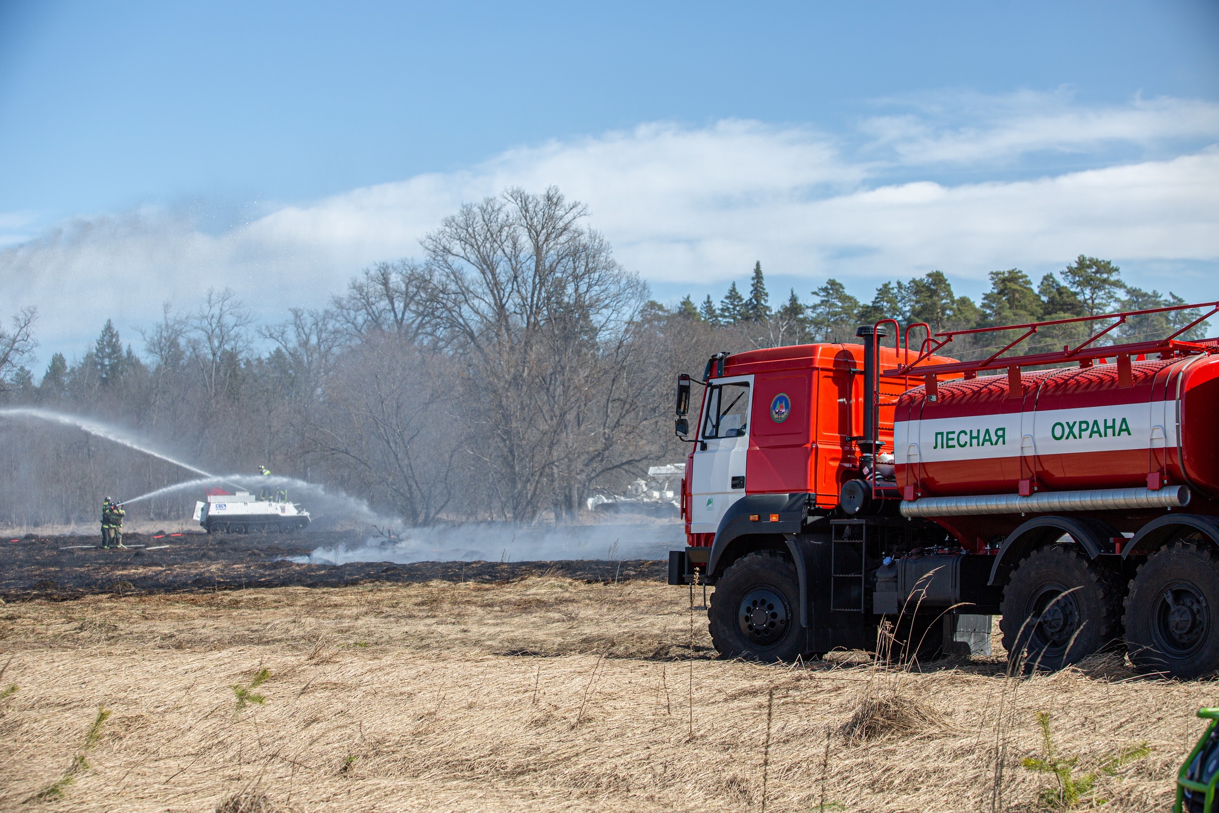 Введен особый противопожарный режим в лесах Брянской области