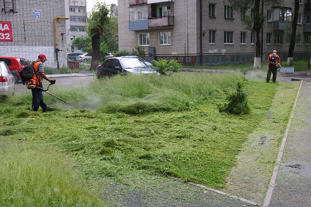 В Брянске продолжаются работы по покосу травы и озеленению города