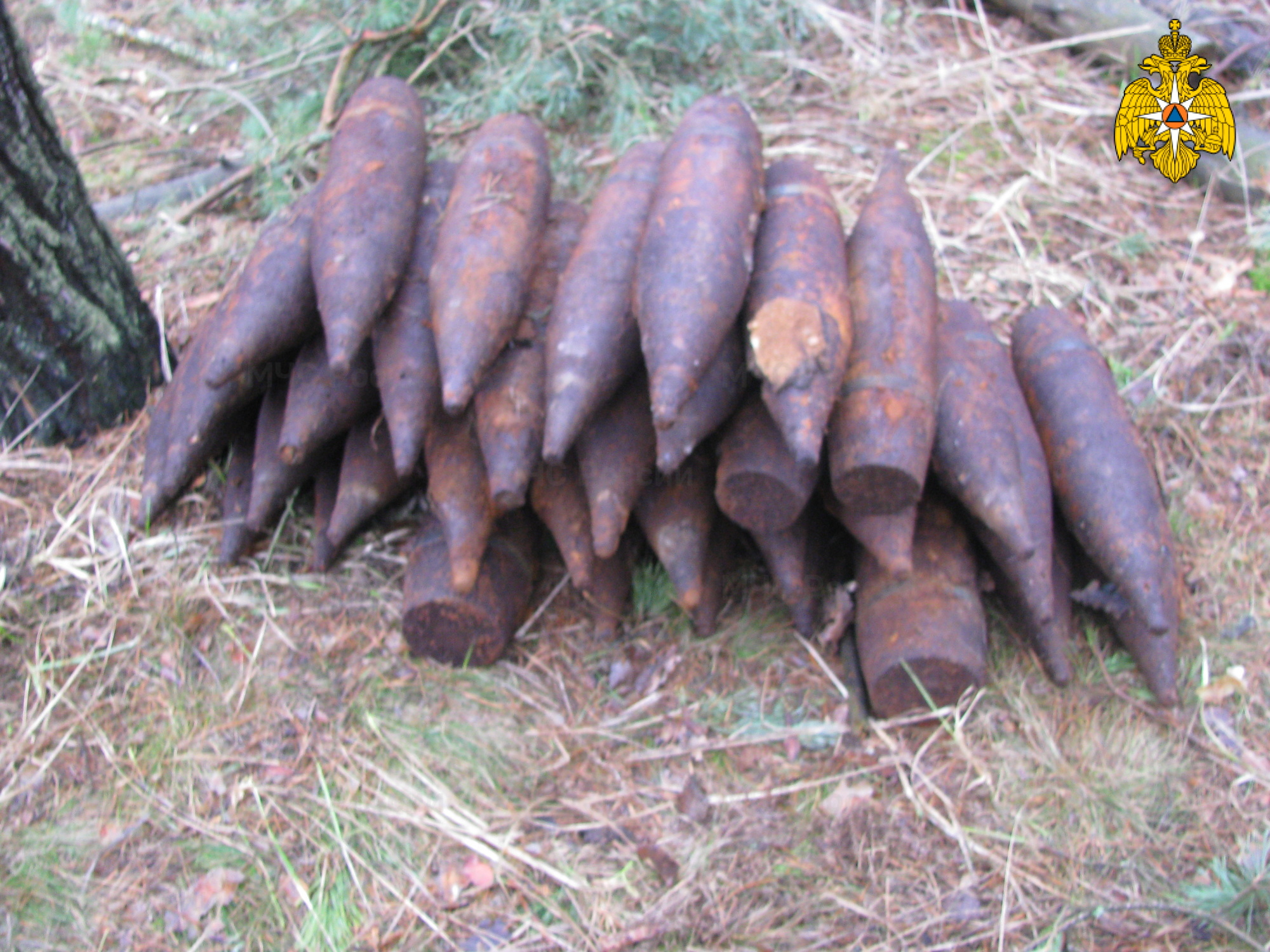 Саперы обезвредили 10 снарядов и три мины в Брасовском районе