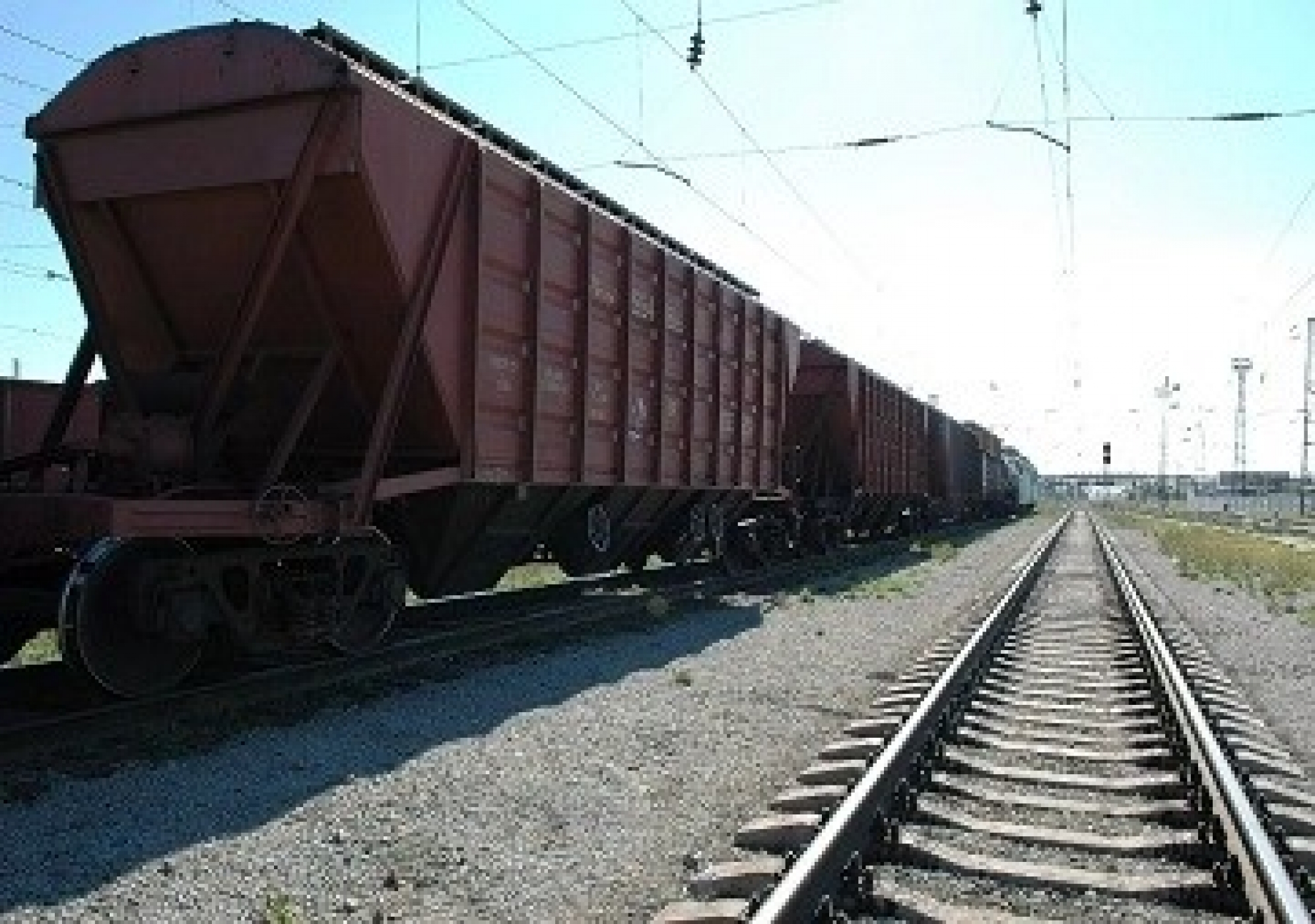 Брянщина в 1,4 раза нарастила в мае поставки зерна по железной дороге