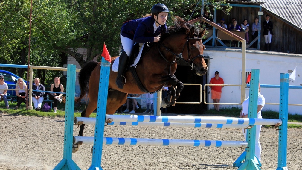 Кубок Брянской области по конному спорту перенесли на 10 июля