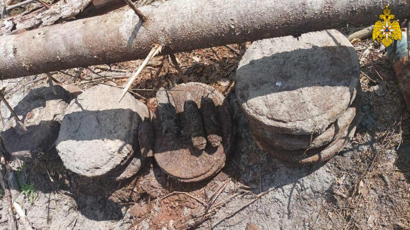 В Брянской области собрали взрывоопасный «урожай» из артснарядов и мин